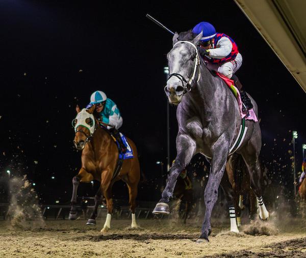 Great White, John Ennis, John Battaglia Memorial Stakes, Turfway Park, Alex Achard, America's Best Racing, ABR, horse racing